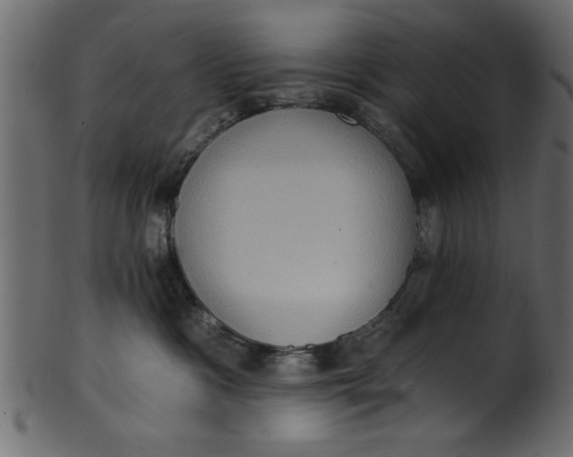 X0000101210333200807181424