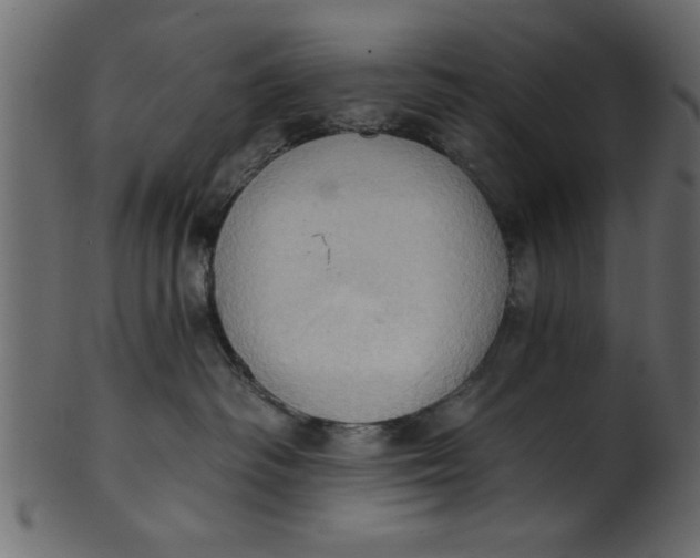 X0000101210334200807181424