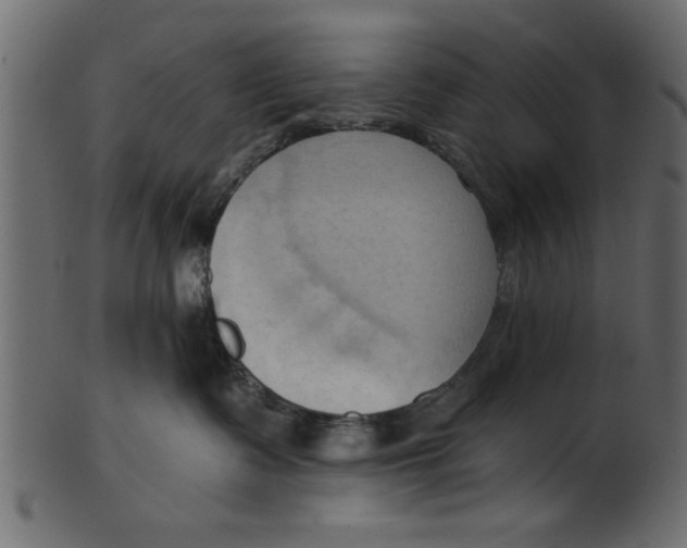 X0000101210335200807181424