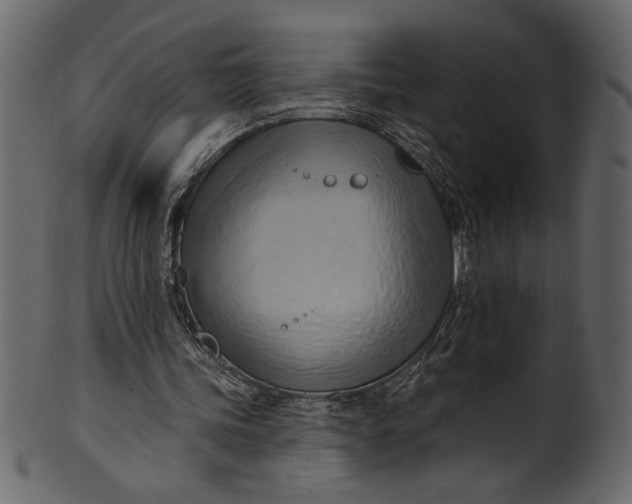 X0000101210339200807181423