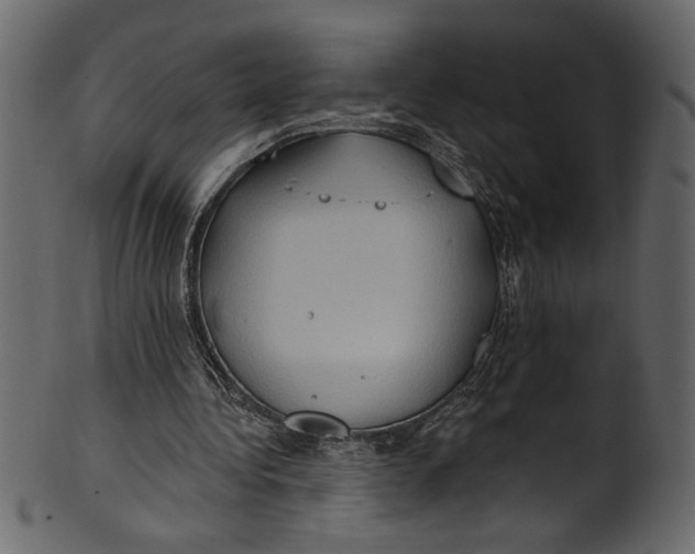 X0000101210340200807181423