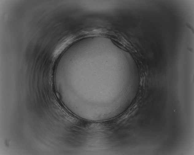 X0000101210341200807181423