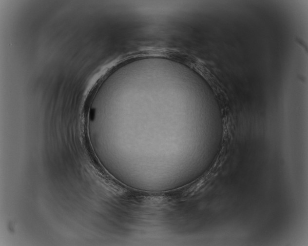 X0000101210342200807181423