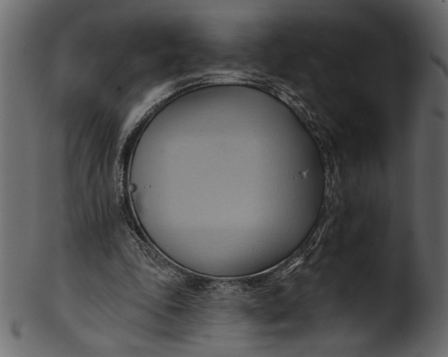 X0000101210343200807181423