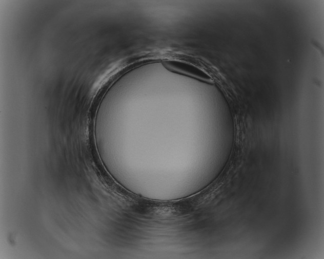 X0000101210344200807181423