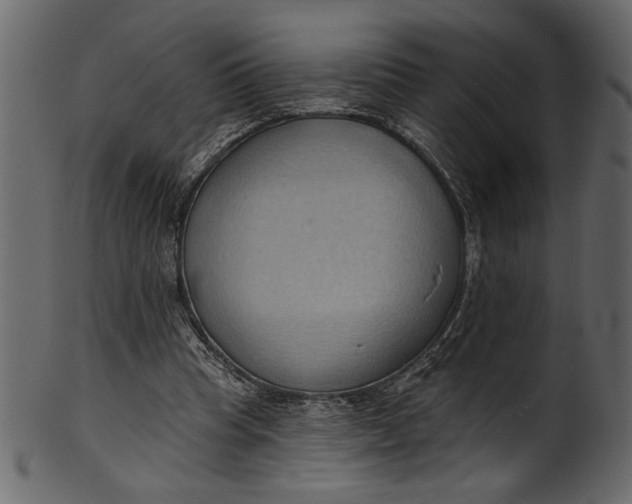 X0000101210345200807181423