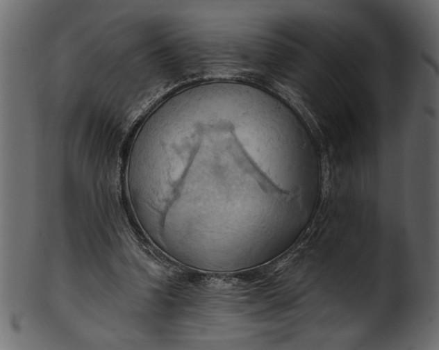 X0000101210346200807181423