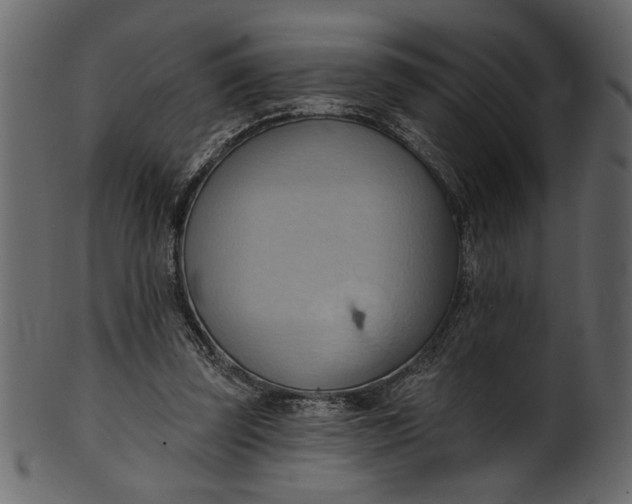 X0000101210347200807181423