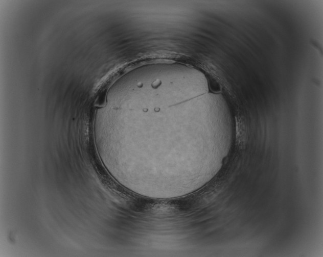 X0000101210348200807181423