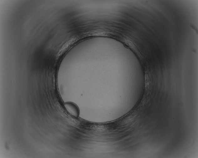 X0000101210349200807181423