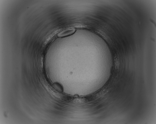 X0000101210350200807181423