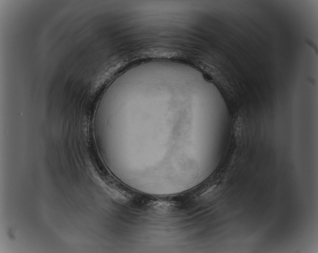 X0000101210352200807181423