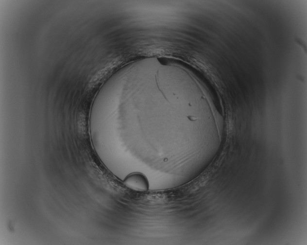 X0000101210353200807181423