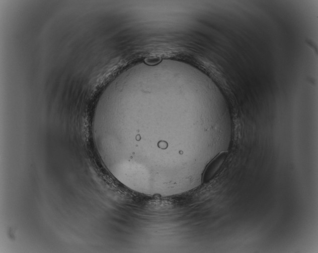 X0000101210354200807181423