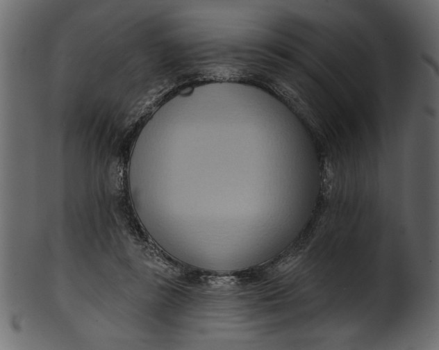 X0000101210355200807181423