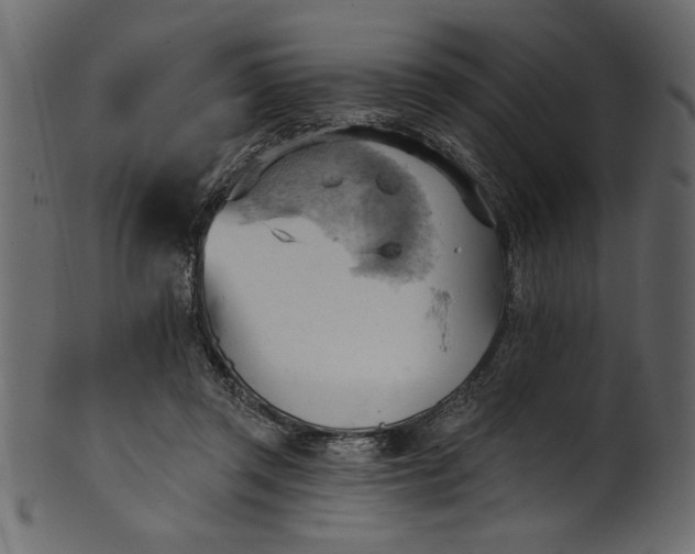 X0000101210357200807181423