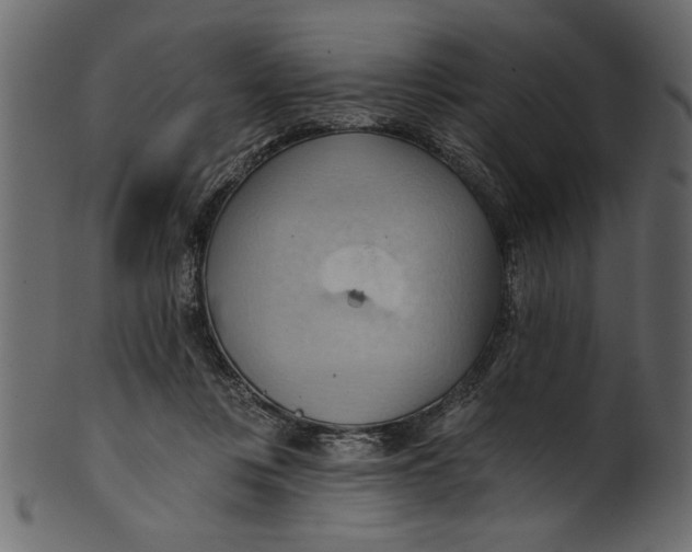 X0000101210359200807181423