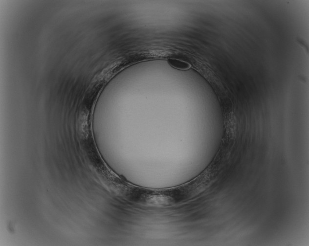 X0000101210360200807181423