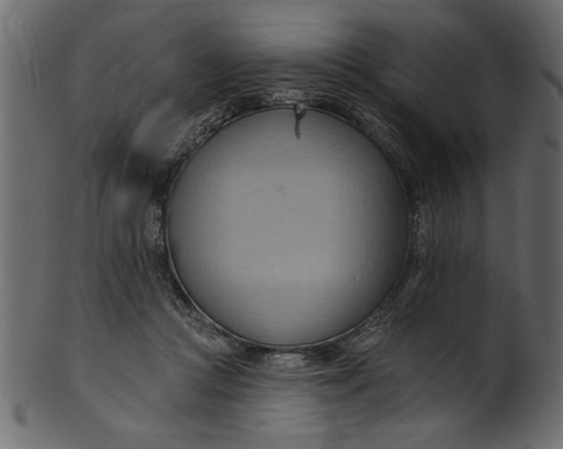 X0000101210361200807181423