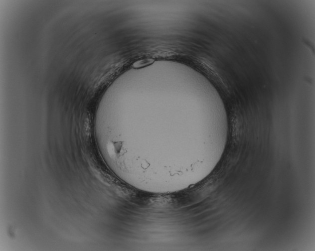 X0000101210362200807181423