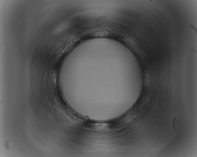 X0000101210363200807181423