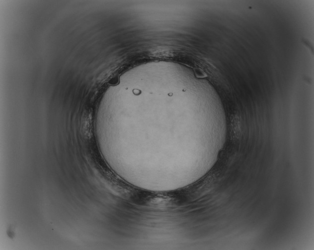 X0000101210364200807181423