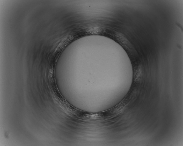 X0000101210365200807181423