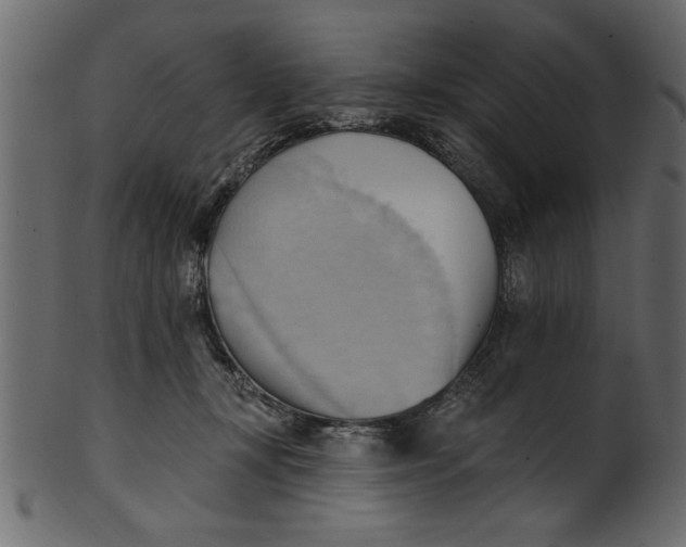 X0000101210367200807181423