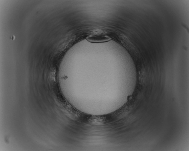 X0000101210368200807181423