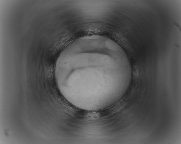 X0000101210369200807181423