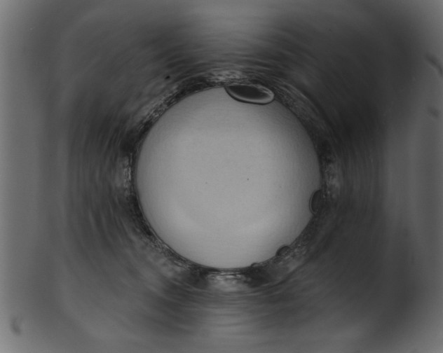 X0000101210372200807181423