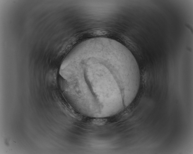 X0000101210373200807181423