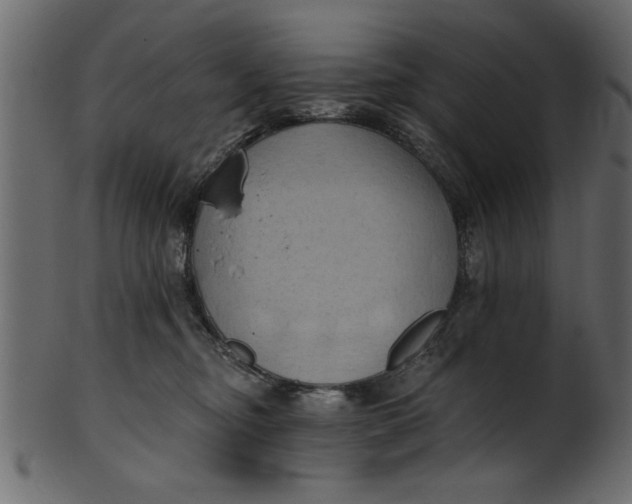 X0000101210374200807181423