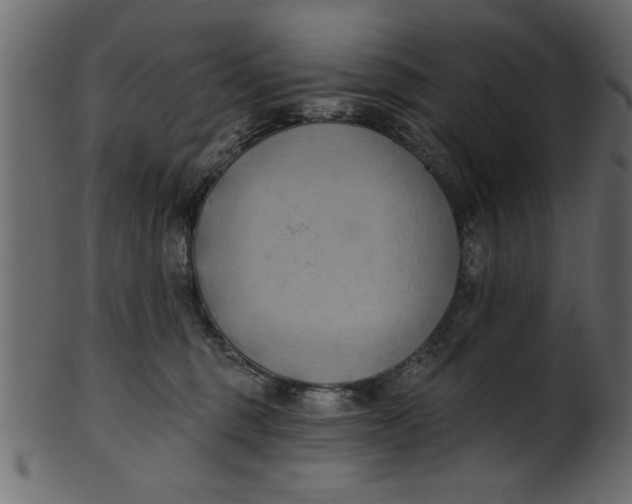 X0000101210375200807181423