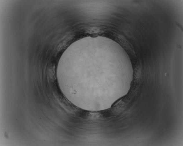 X0000101210376200807181423