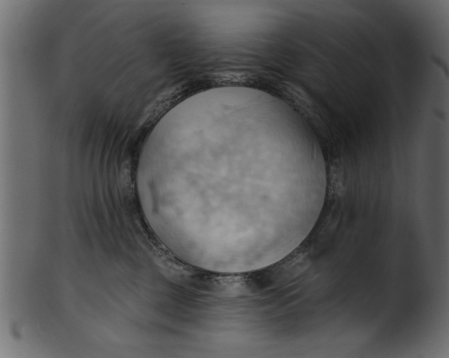 X0000101210377200807181423