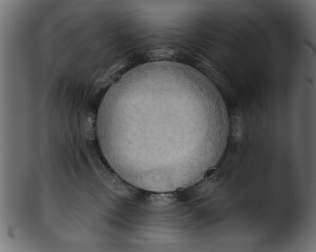 X0000101210378200807181424