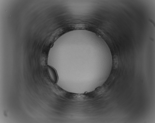 X0000101210379200807181424