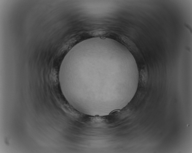 X0000101210380200807181424