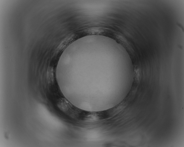 X0000101210381200807181424