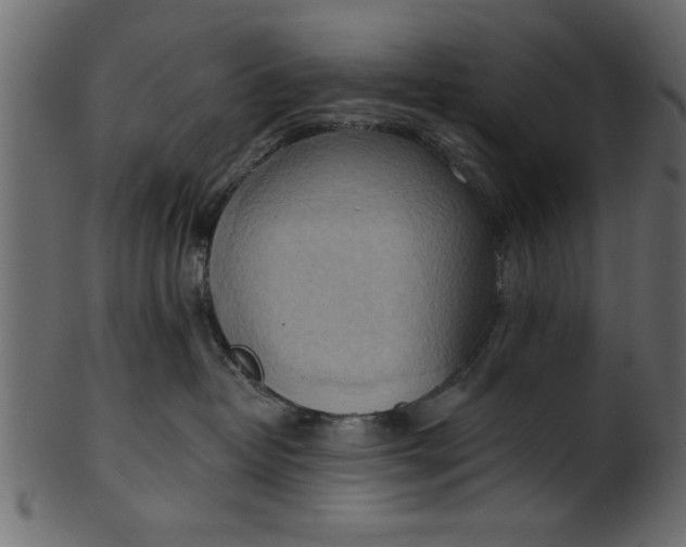 X0000101210382200807181424