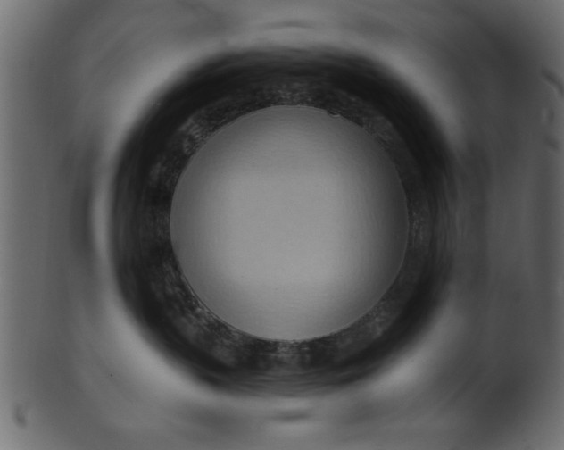 X0000101210383200807181424