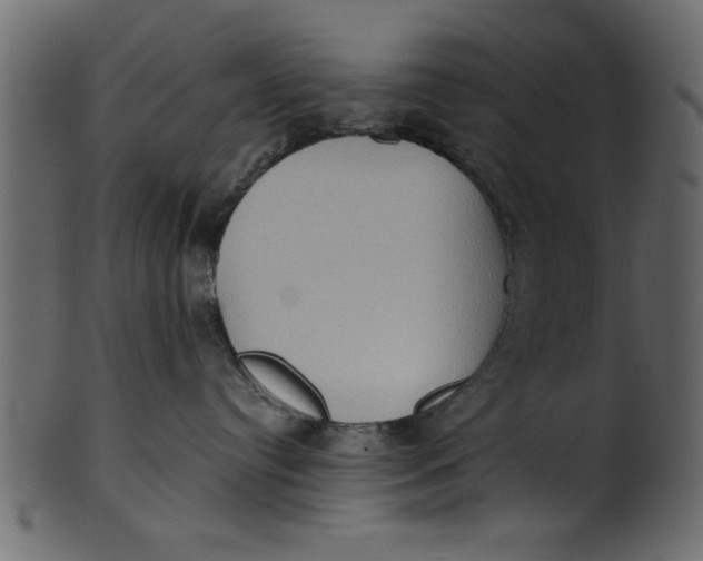 X0000101210384200807181424