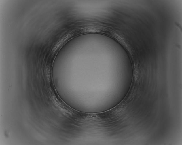 X0000101210386200807181423