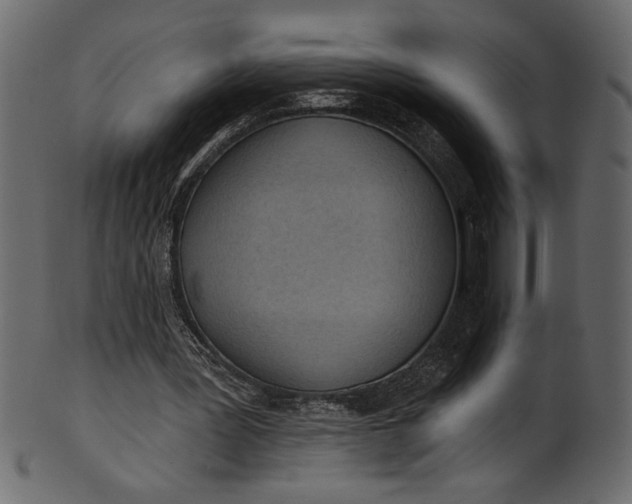 X0000101210387200807181423