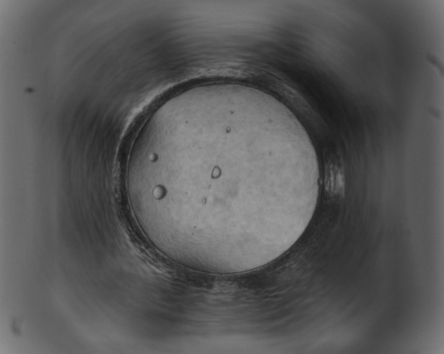 X0000101210388200807181423