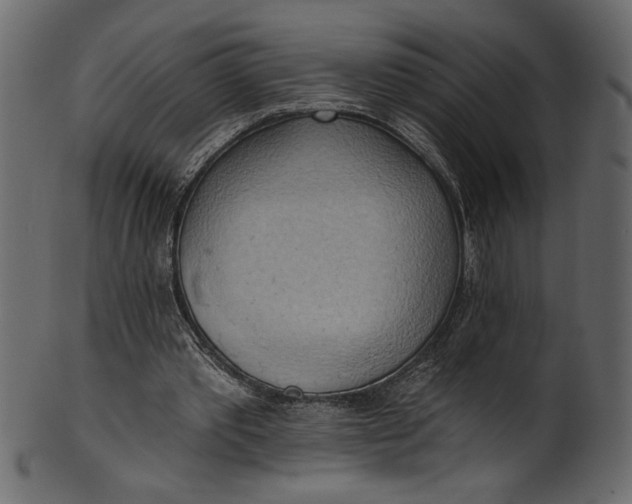 X0000101210389200807181423