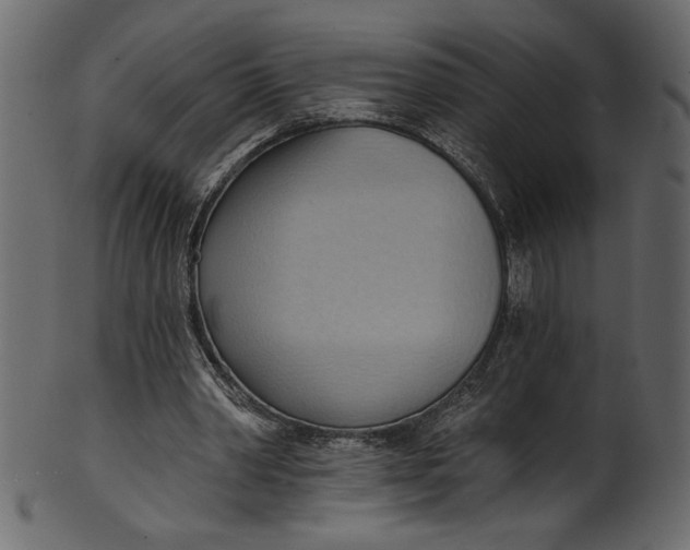 X0000101210390200807181423