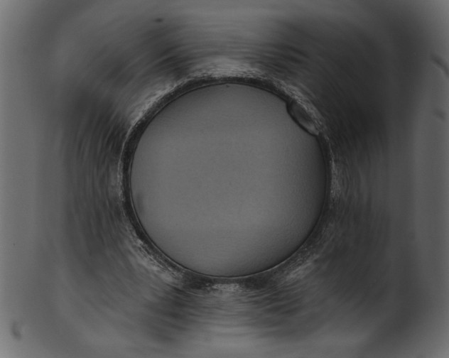 X0000101210391200807181423