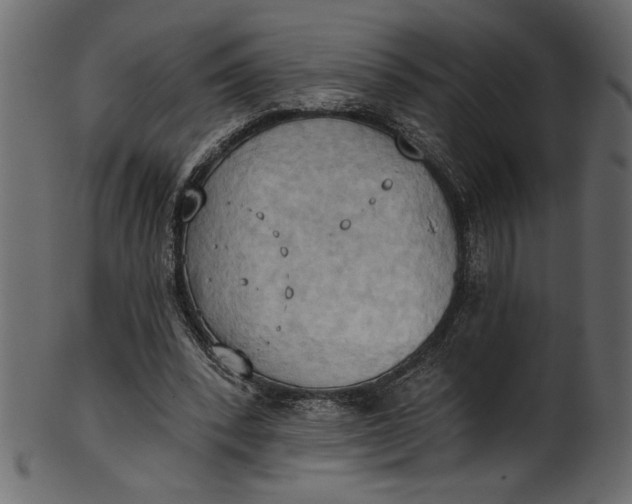 X0000101210392200807181423